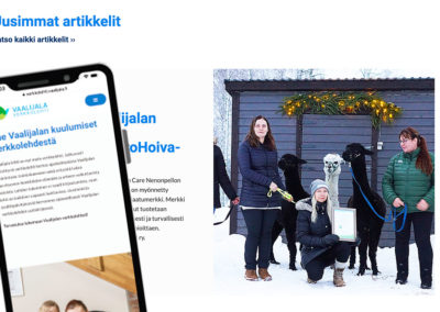 Verkkojulkaisu